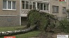 В столице и Минской области ликвидируют последствия стихии