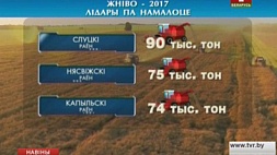 Сельхозорганизации Минской области увеличивают темпы уборки зерновых
