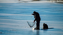 Лед на водоемах начинает таять - предупреждает ОСВОД
