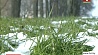 Первый день мая Беларусь встретила со снегом