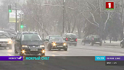 Мокрый снег и гололедица ожидаются в Беларуси 27 ноября - объявлен оранжевый уровень опасности 