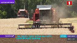 Гродненская область по-прежнему удерживает лидерство по урожайности зерновых