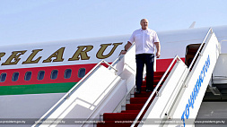 Лукашенко: В Душанбе я всегда чувствую очень теплое отношение к белорусскому народу