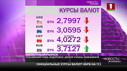 В Беларуси изменилась ситуация с долларом: вот какой результат показали инвалюты на торгах 12 мая
