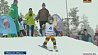 В Силичах проходит детский чемпионат по слалому 