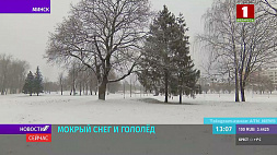 Гололед и усиление ветра до 14 м/с - в Беларуси объявлен оранжевый уровень опасности