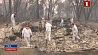 Число жертв лесных пожаров в Калифорнии увеличилось до 66