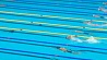Сборная Беларуси по плаванию пробилась в финал смешанной комбинированной эстафеты чемпионата Европы