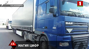 Брестские таможенники установили несоответствие VIN-номеров на транспортных средствах из Литвы 