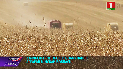 2 мільёны тон збожжа намалацілі аграрыі Мінскай вобласці