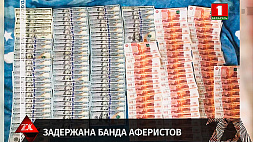 В Беларуси задержана преступная группа, разводившая клиентов на деньги, обещая авто из Европы