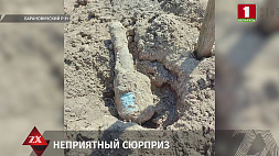 Житель Барановичского района рядом со своим участком обнаружил гранату времен ВОВ