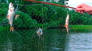 В Беларуси для ловли рыбы необходимо использовать экраны установленных размеров и не более двух на одного рыболова