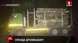Сотрудник лесхоза в Верхнедвинском районе распорядился отгрузить древесину по просроченным документам