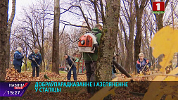 Благоустройство и озеленение в Минске продолжится до середины ноября