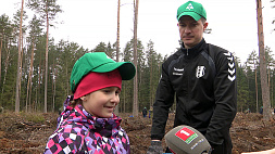 Сохранить уникальную экосистему - Неделя леса проходит в Беларуси