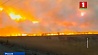 Аномально теплая и сухая погода провоцирует пожары в Приморье. Невероятные кадры
