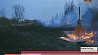 Поджигание сухой травы увеличивает число пожаров