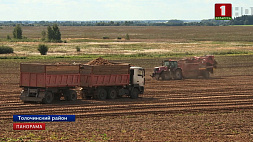 Белорусские аграрии продолжают уборку картофеля