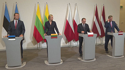 Страны Балтии и Польша не решились закрыть границу с Беларусью 