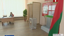 Почти 7 миллионов белорусов включены в списки избирателей на выборах в местные Советы депутатов