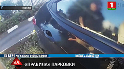 В Могилеве местный житель побил стекла припаркованной на улице машины 