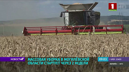 На помощь аграриям из Могилевской области подключатся другие районы
