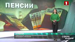 Правительство Беларуси разработало механизм добровольного пенсионного страхования