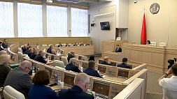 Члены Совета Республики одобрили внесение изменений в законы о таможенном регулировании