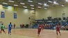 Сборная Беларуси по мини-футболу с победы стартовала на квалификации чемпионата мира 2016