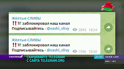 Телеграм-канал "Желтые сливы" заблокировали - пока только на смартфонах