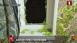 В Дрогичинском районе неизвестный обокрал частный дом, раскрыли кражу по капле крови