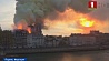 Во Франции выясняют причины пожара в соборе Парижской Богоматери 