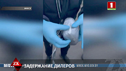 Наркоконтроль Минска провел череду задержаний 