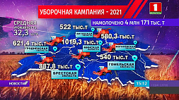 Уборочная-2021: каравай Беларуси весит 4 млн 171 тыс. тонн