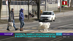 О самых важных нововведениях на белорусских дорогах - комментарий ГАИ