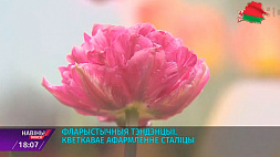 Цветочное оформление Минска - среди сезонных трендов злаки и многолетники
