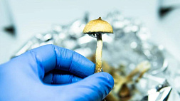 Австралия легализует экстази и галлюциногенные грибы для лечения депрессии