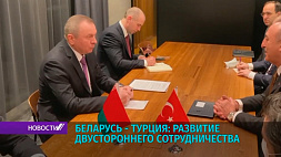 Министр иностранных дел Беларуси встретился с главой внешнеполитического ведомства Турции