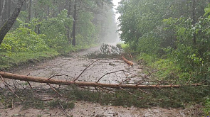 Десятки домов без кровли, поваленные деревья. Последствия стихии устраняют в Гродненской и Минской областях