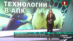 "Мираторг" - крупнейший производитель свинины и говядины в России
