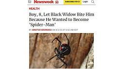 Мальчик из Боливии хотел стать человеком-пауком, поэтому дал "черной вдове" укусить себя
