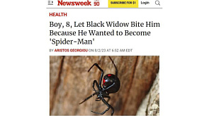 Мальчик из Боливии хотел стать человеком-пауком, поэтому дал "черной вдове" укусить себя