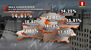 ЦИК Беларуси подвел итоги двух дней досрочного голосования на выборах депутатов