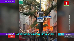 Нью-Йоркские тиктокеры ради видео заблокировали целый район