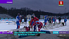 Раубичи принимают этап Кубка Восточной Европы по лыжным гонкам