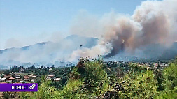 В Греции горят леса: огонь угрожает пригородам Афин