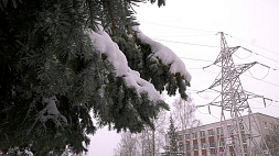 Из-за погодных условий электричество пропадало в Полоцком, Россонском, Глубокском и Шумилинском районах