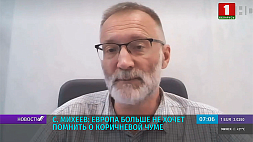 С. Михеев: Европа больше не хочет помнить о коричневой чуме 