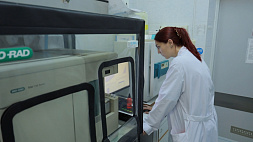 Прорыв в медицине: в НАН Беларуси создали 11 новых клеточных разработок